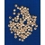 KORALIKI ,kulki drewniane , mini fi 6mm / 100szt   kulka drewniana , surowa , kulka 6mm / PJ-2761